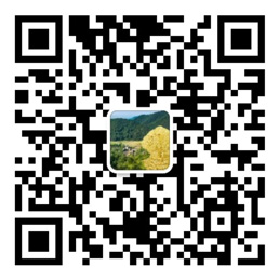 南方双彩官网